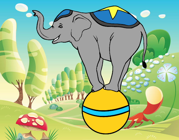 Elefante equilibrista