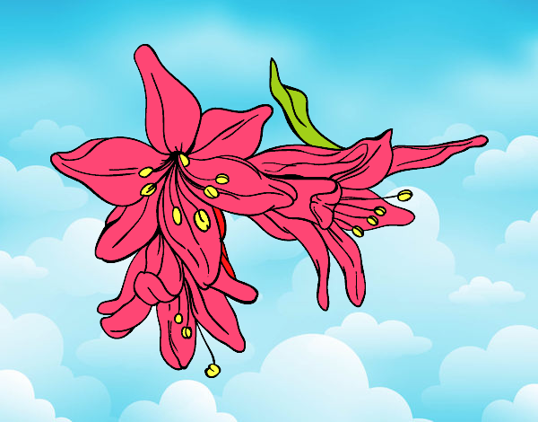 Dibujo Flores de lilium pintado por LunaLunita
