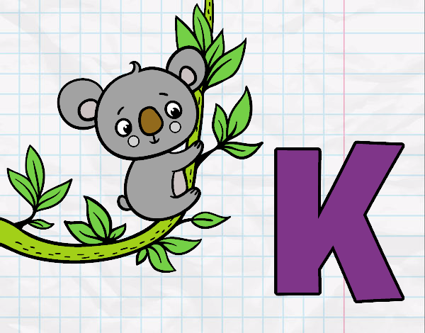 K de Koala