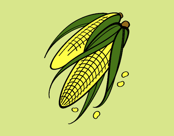 Dibujo Mazorcas de maíz pintado por LunaLunita
