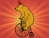 Oso en bicicleta