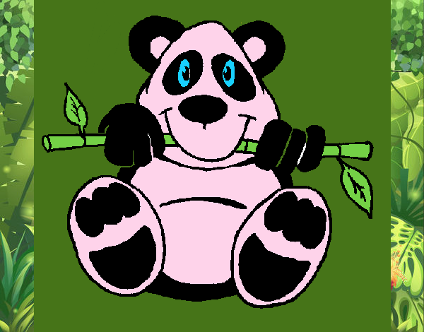 Oso panda