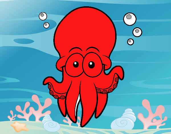 Pulpo rojo