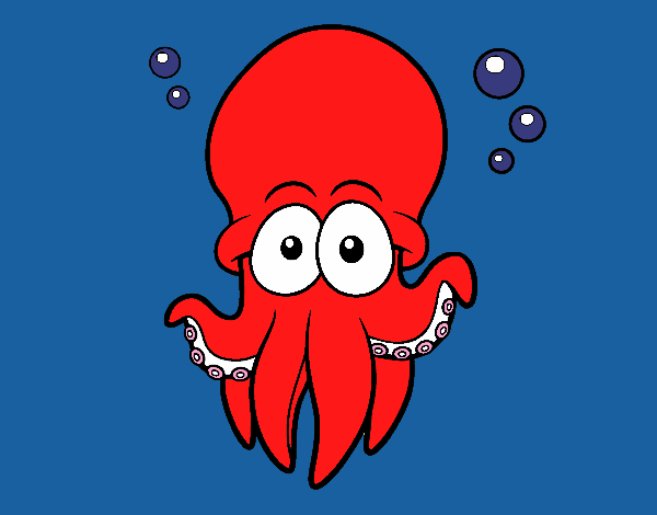 Pulpo rojo