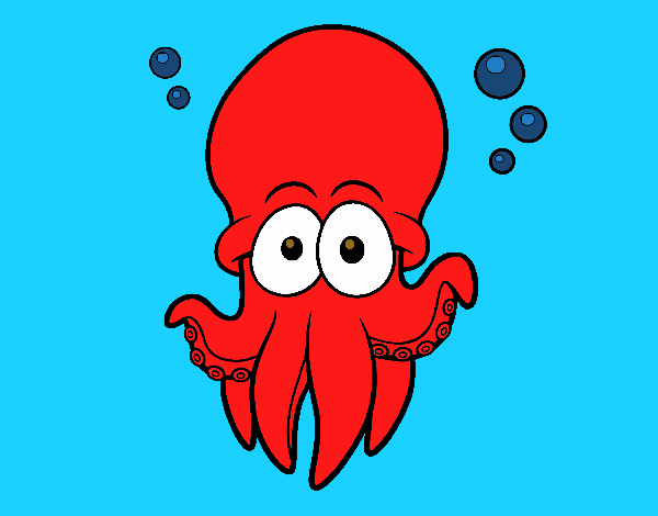 Pulpo rojo