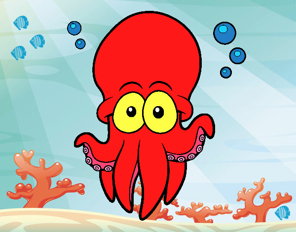 Pulpo rojo