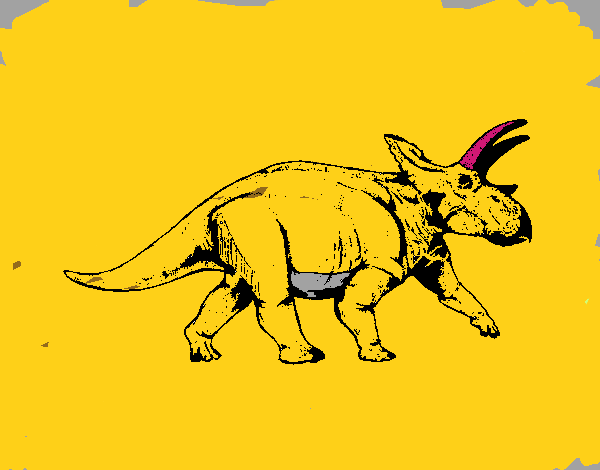 Triceratops 1