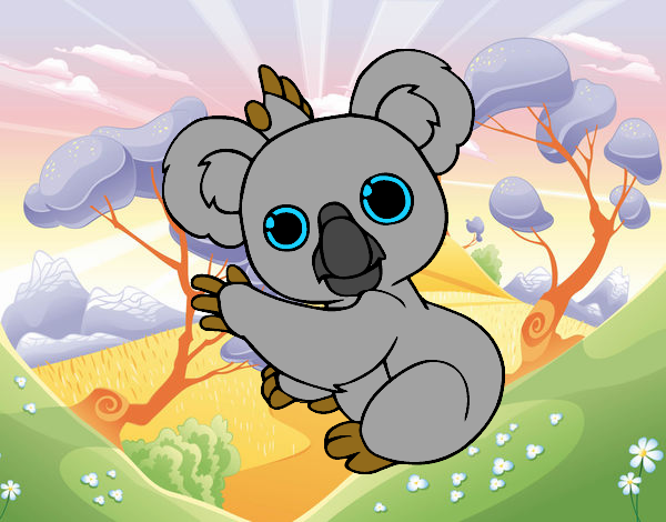 Un Koala