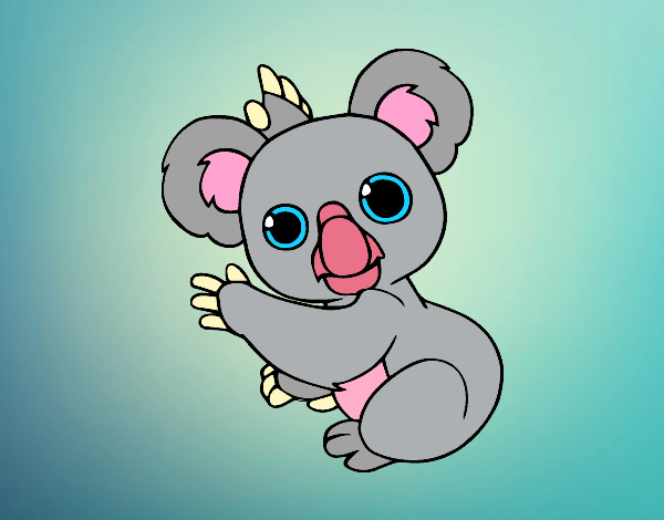 Un Koala