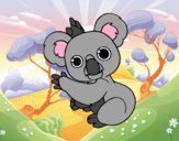 Un Koala