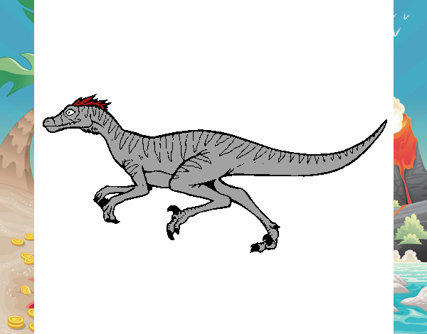 Velociraptor