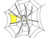 Araña