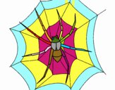 Araña