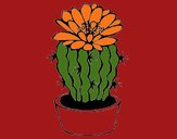 Dibujo Cactus con flor pintado por tilditus