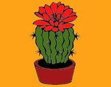 Dibujo Cactus con flor pintado por tilditus
