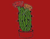 Dibujo Cactus con flores pintado por tilditus