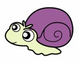 Caracol bebé