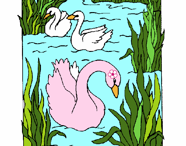 el lago de los cisnes
