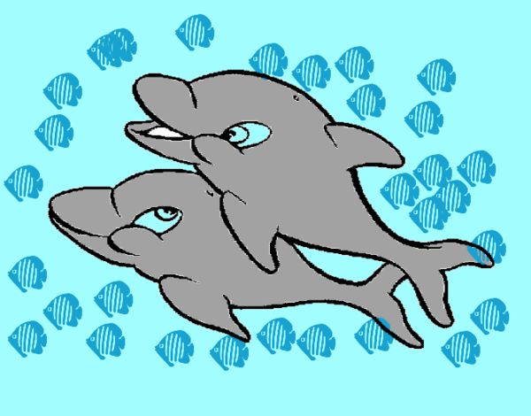 Delfines 1