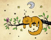 El gato y la luna