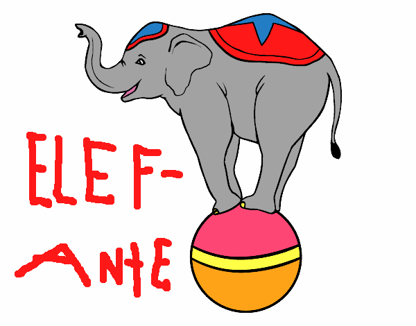 Elefante equilibrista