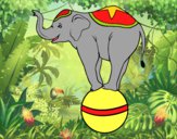 Elefante equilibrista