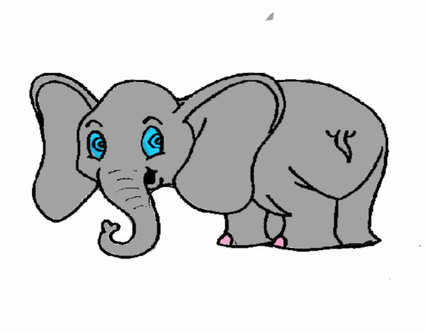 Elefante pequeño