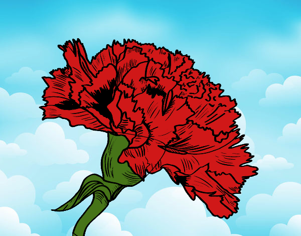Dibujo Flor de clavel pintado por LunaLunita