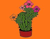 Dibujo Flores de cactus pintado por tilditus