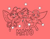 Mayo