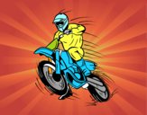 Moto de motocross