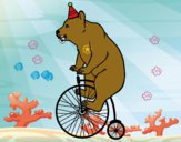 Oso en bicicleta