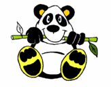 Oso panda