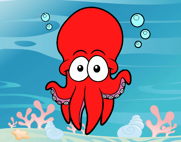 Pulpo rojo