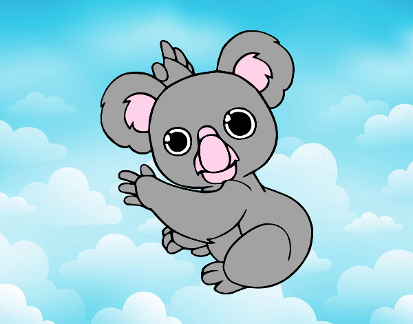 Un Koala