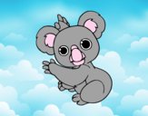 Un Koala