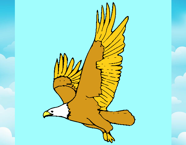 Águila volando