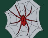 Araña