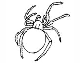 Araña venenosa