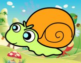 Caracol bebé