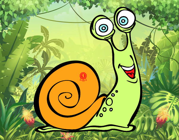 Caracol feliz