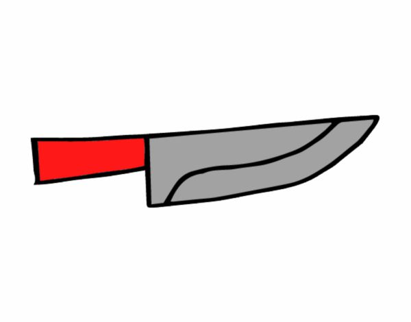 Cuchillo cocinero