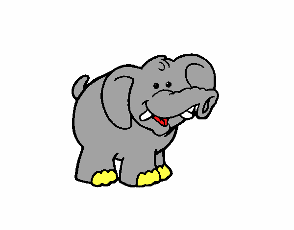 Elefante 3