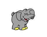 Elefante 3