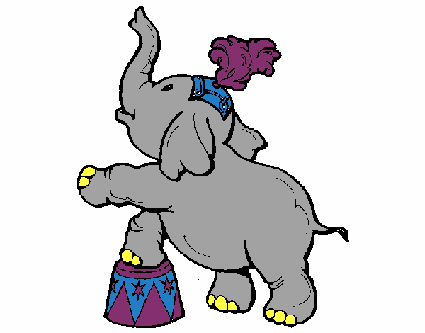 Elefante