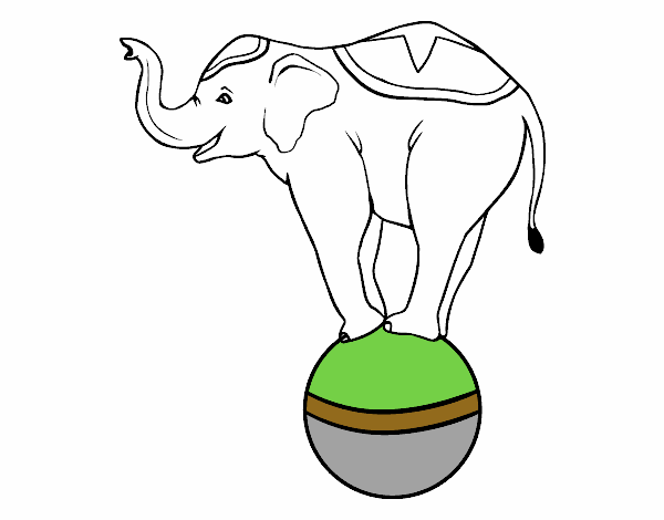 Elefante equilibrista