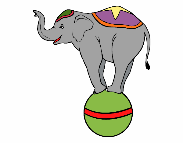 Elefante equilibrista