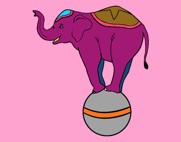 Elefante equilibrista