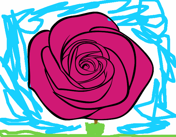 Flor de rosa