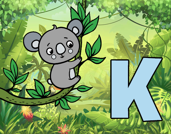 K de Koala